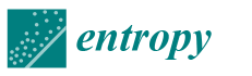 entropy-logo
